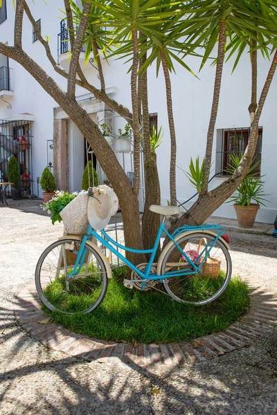 Bicicleta cyan care se odihnește pe un copac și iarba verticală — Fotografie, imagine de stoc