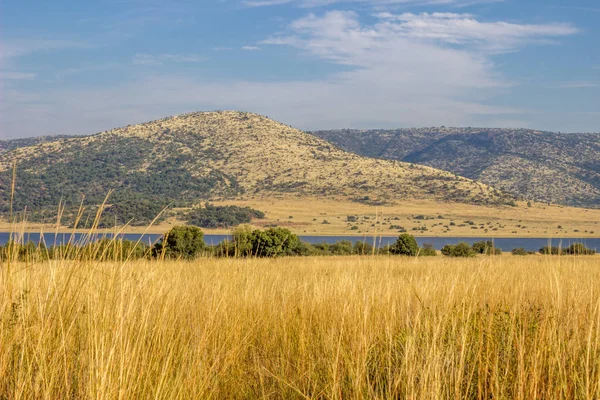 Paysage dans le parc national du Pilanesberg Photo De Stock