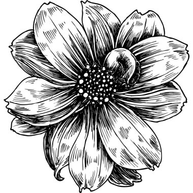 Çiçekler sanat yorumlama deneyi için tek bir nesne