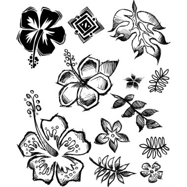 Çiçekler sanat yorumlama deneyi için tek bir nesne