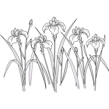 Çiçekler sanat yorumlama deneyi için tek bir nesne