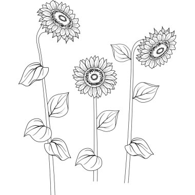 Çiçekler sanat yorumlama deneyi için tek bir nesne