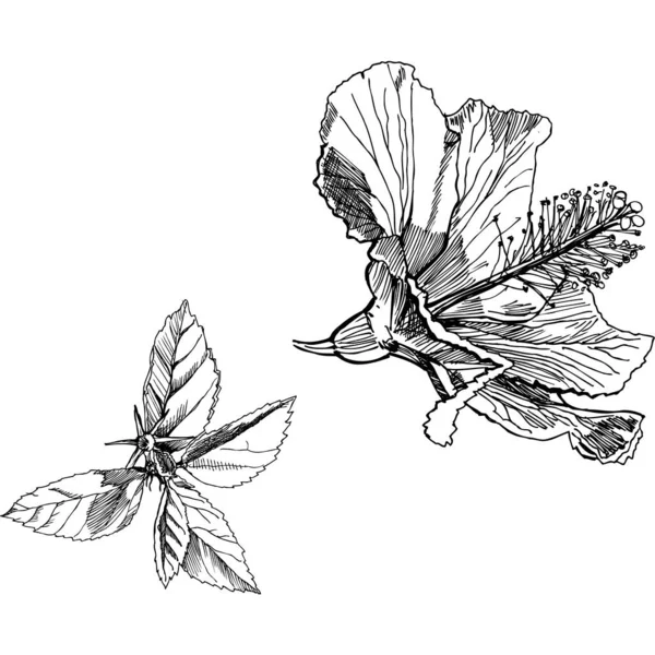芸術解釈実験のための花の単一のオブジェクト — ストックベクタ