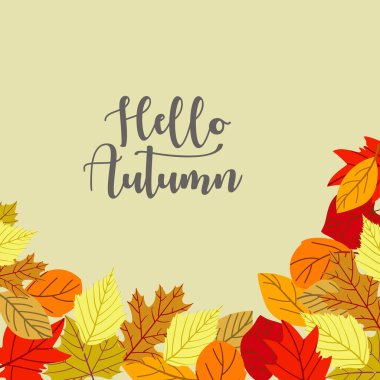 Düz tasarım sonbahar yaprakları arka plan. - Vektör.