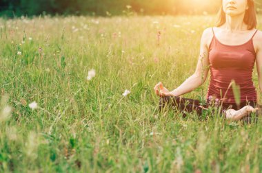 Meditasyon ve yoga alanında yaz doğada bulunan