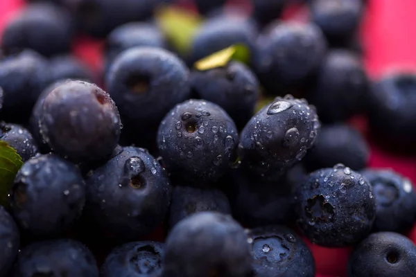 关闭成熟新鲜的蓝莓与水滴的水 宏拍摄 — 图库照片