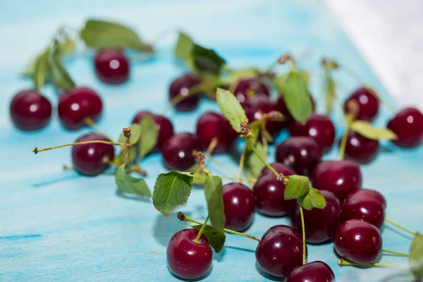 红色新鲜成熟樱桃与绿色叶子在蓝色背景 健康的水果和浆果的概念 — 图库照片