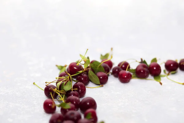Ripe cherry on a light gray background, selective focus, copy space