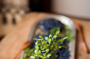 Yaban mersini çalı çilek ile Focus ön planda. yakın çekim