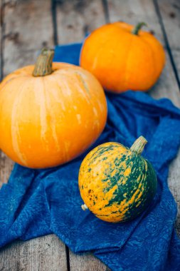 Sonbahar kabak Şükran günü arka plan - ahşap masa üzerinde turuncu kabak. Benekli turuncu-yeşil kabak, portre, Cadılar Bayramı