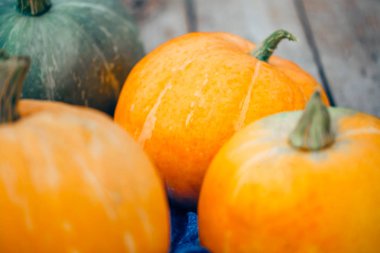 Turuncu kabak, seçici odak yakından. Cadılar Bayramı sonbahar