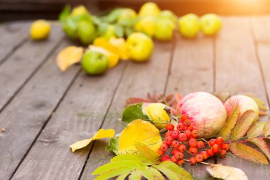 Hasat ile sonbahar tabloyu kapatın. Sarı, kırmızı meyve ile yaprakları