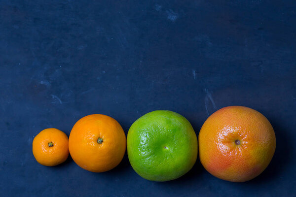 fruit citrus orange Mandarin grapefruit sweeties undermining the whole on a dark blue background copy scape