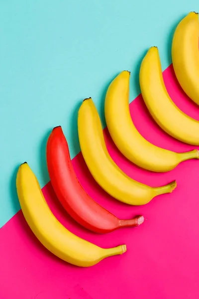 Close up of one red banana among ripe yellow fruits on blue and pink background. Uniqueness, minimalism of the concept