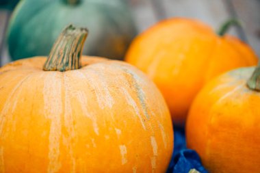 Turuncu kabak, seçici odak yakından. Cadılar Bayramı sonbahar
