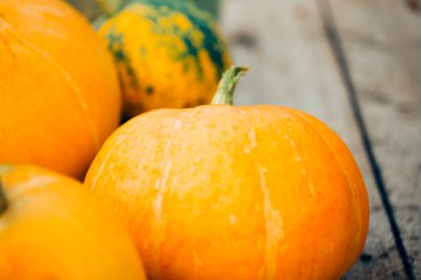 Kadar büyük bir Turuncu kabak görünümü kapat. Turuncu ve yeşil büyük kabak yakın çekim. Sonbahar, Cadılar Bayramı kavramları