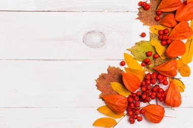 Beyaz ahşap arka plan için metin, sonbahar bileşimi ile reklam. Düz yatıyordu, en iyi görünüm, kopya alanı