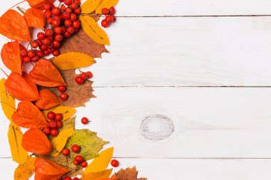 Düz sonbahar kompozisyon kopya alanı için metin ve reklam ile beyaz ahşap zemin üzerinde yatıyordu. Sonbahar, Cadılar Bayramı kavramları. Cadılar Bayramı kavramları