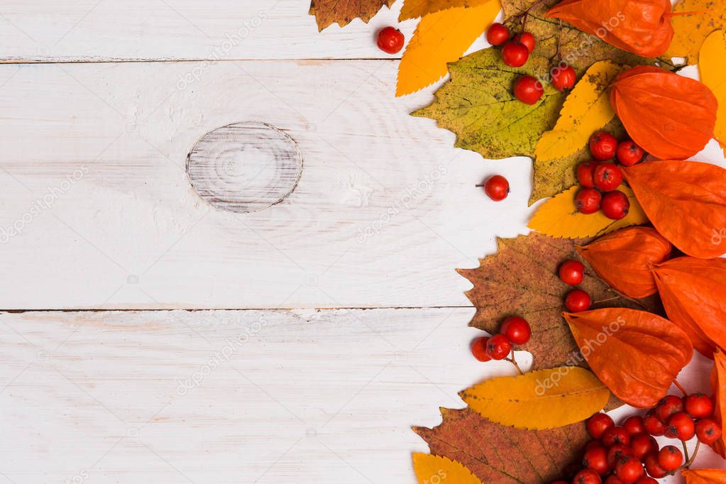Flat lay of autumn composition on white wooden background with copy space, top view. Closeup