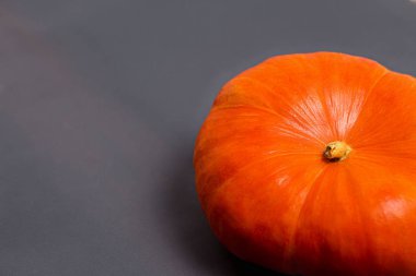 Metin kopyalama yeri olan gri arka plan üzerinde turuncu büyük kabak yakın çekim.