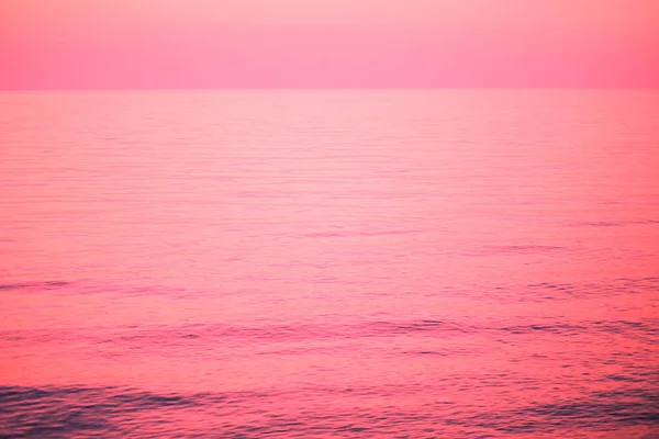 Beautiful blue sea at pink sunset with seagulls. The concept of fashion colors 2019, living coral