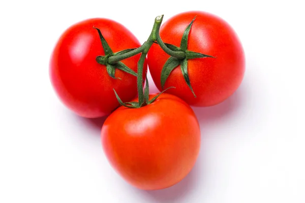 Tomate en fondo blanco aislado —  Fotos de Stock