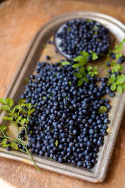 Yaprakları, üstten görünüm ile taze yaban mersini. Sağlık kavramı