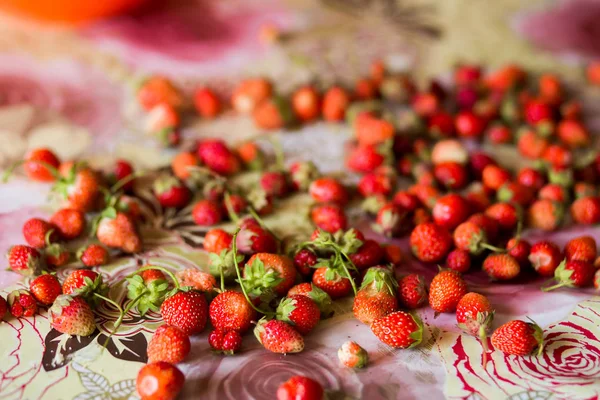 Pile of red delicious strawberries on the table close-up — Stock Photo, Image