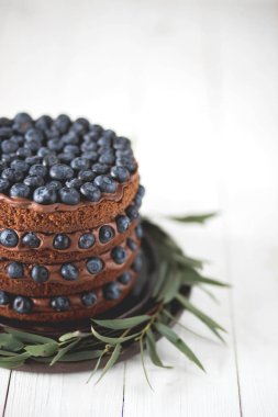 Kopya alanı ile beyaz bir arka plan üzerinde yaban mersini ile çikolata lezzetli pasta closeup