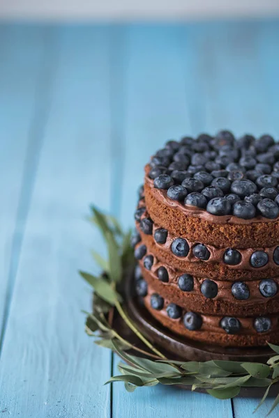 Fechar de bolo de chocolate com bagas — Fotografia de Stock