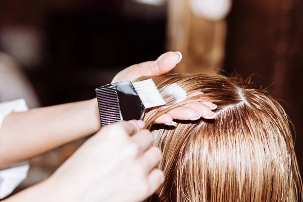 Tratamiento de pelo Spa, peluquería aplica una máscara blanca a los clientes de pelo largo y oscuro. Spa, cuidado, belleza y concepto de personas — Foto de Stock