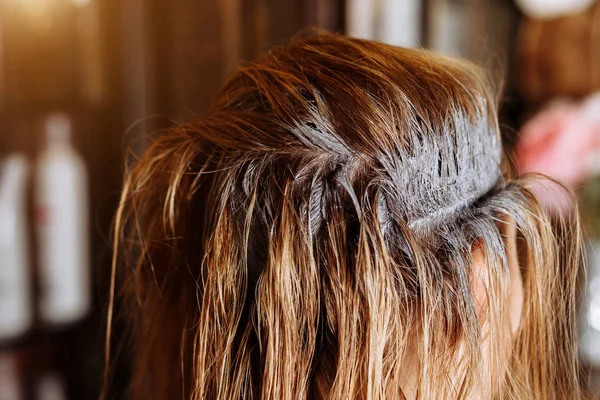 Hairstylist with brush applying mask to hair of her client in beauty hair salon. The process of keratin straightening, hair colouring. — Stock Photo, Image