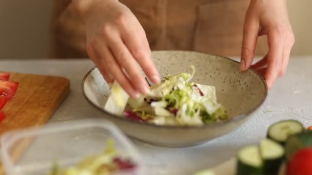 野菜の新鮮なサラダを準備する女性のクローズアップ — ストック動画