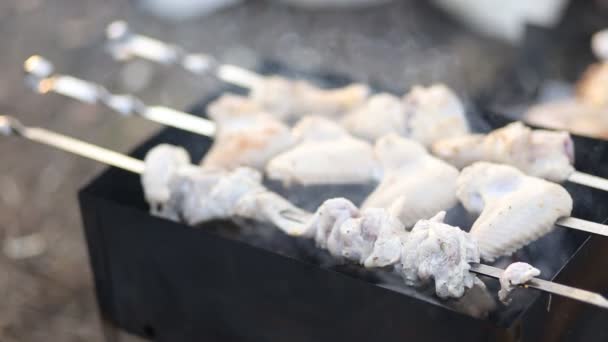 Barbecue Estivo Primaverile Con Costolette Cosce Pollo Grigliate Sul Fuoco — Video Stock