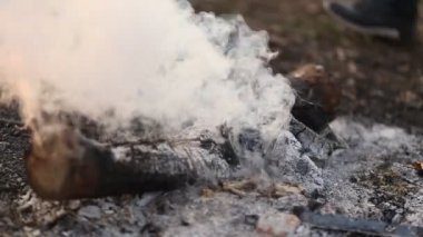 Doğada bir kamp ateşi güzel beyaz duman Closeup