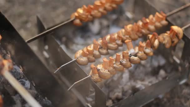 Heerlijke Champignons Worden Gekookt Grill Natuur Zomer Voorjaars Picknick Barbecue — Stockvideo