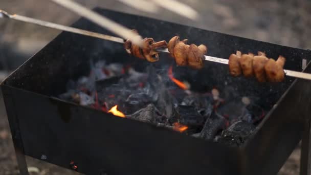キノコのおいしい串は 自然の中でキノコを焼きました 夏のピクニック — ストック動画