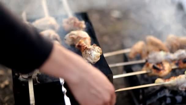 Barbecue Estivo Primaverile All Aperto Prato Con Denti Leone Pallone — Video Stock