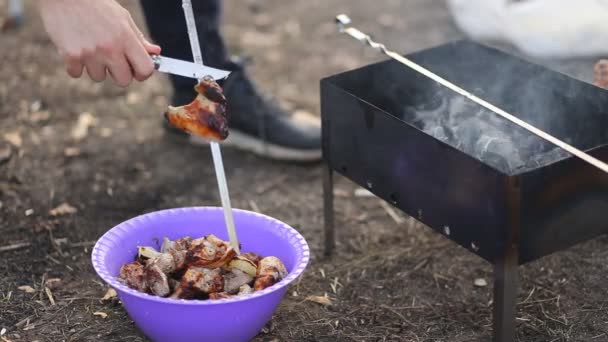 男は自然の中で鶏の翼と足でおいしいバーベキューを準備し 大きなボウルに既に揚げたケバブを置きます 夏の春のピクニック バーベキュー 屋外レクリエーション — ストック動画