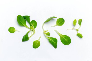 Ispanak üzerinde beyaz arka plan izole yakın bırakır