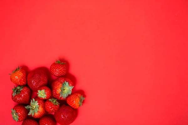 Fresas sobre fondo rojo — Foto de Stock