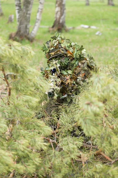 Cecchino mimetizzato nella foresta — Foto Stock