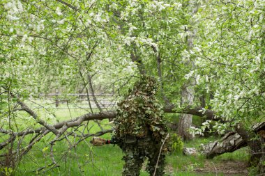 Ormanda kamuflajlı keskin nişancı