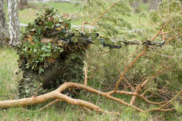 Камуфльований снайпер у лісі — стокове фото