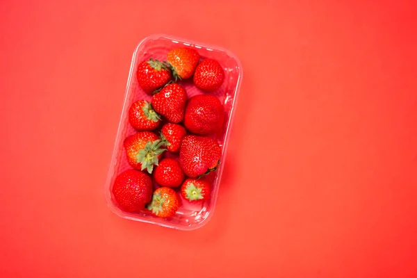 Plastic container with ripe strawberries isolated on red background