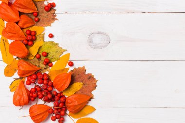 Metin ve reklam için kopya alanı ile beyaz ahşap arka plan üzerinde sonbahar kompozisyon Düz yatıyordu. Sonbahar, Cadılar Bayramı kavramları