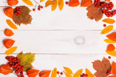 Beyaz arka planda sonbahar metin çerçevesi