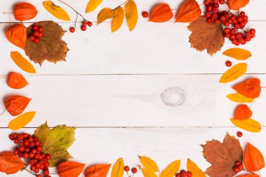 Metin ve reklam için kopya alanı ile beyaz ahşap arka plan üzerinde sonbahar yaprakları ve Rowan ve physalis meyveleri güzel parlak turuncu kırmızı çerçeve