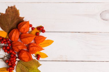 Parlak kırmızı turuncu sonbahar yaprakları, beyaz ahşap arka plan üzerinde çilek, üst görünümü