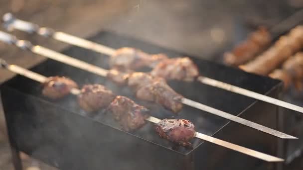 Brochettes Savoureuses Champignons Champignons Grillés Dans Nature Pique Nique Été — Video